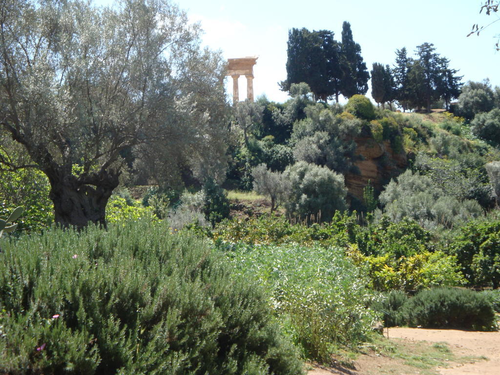 Guest House Artemide Agrigento Eksteriør bilde